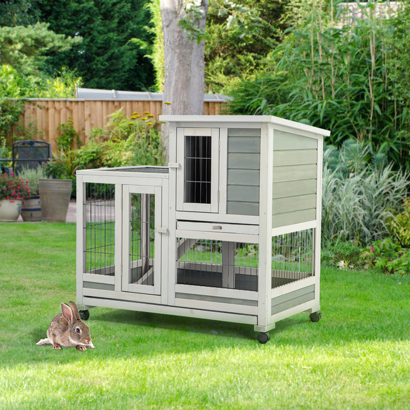 innovation pet raised rabbit hutch