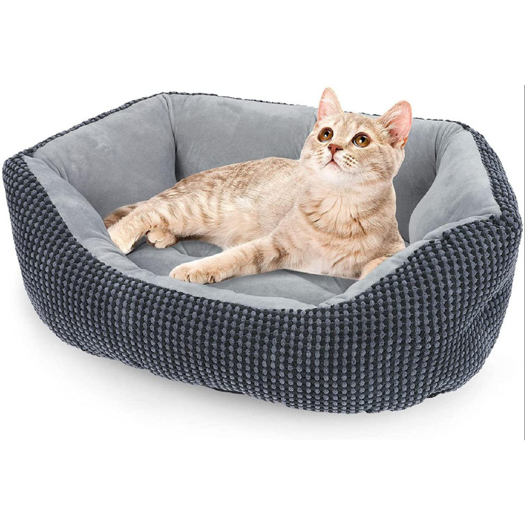 durable pet bed