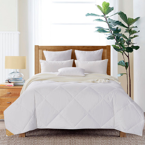Light Weight Summer Comforter Wayfair Light Weight Summer Comforter Wayfair