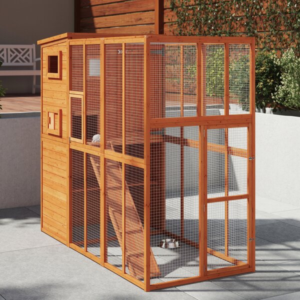 large cat cages shelters