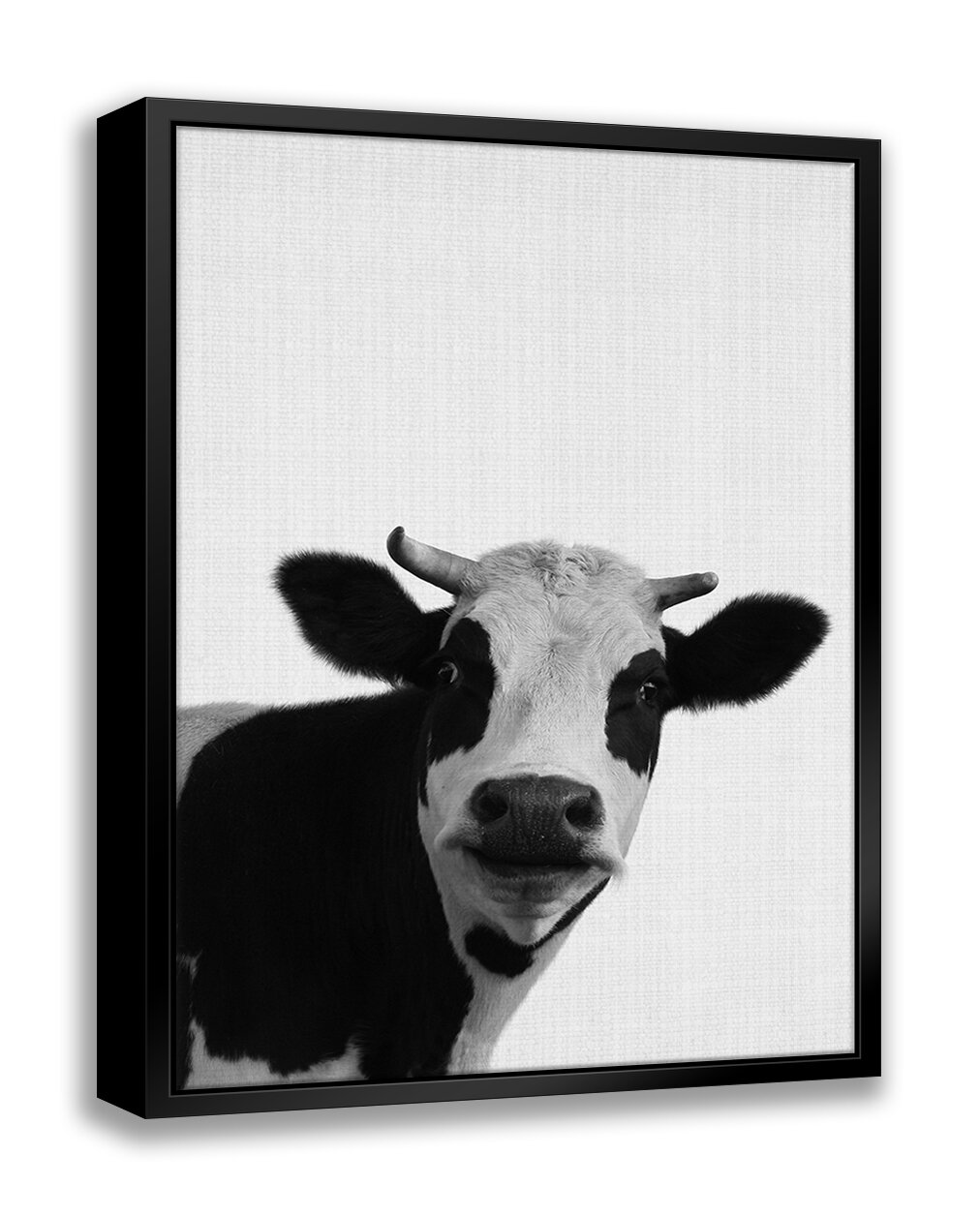 ATX Art Group LLC Holy Cow by - Floater Frame Photograph on Canvas ...