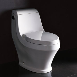 Adonis Contemporary 1.6 GPF Elongated One-Piece Toilet