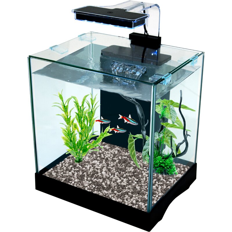 Tucker Murphy Pet Kesler 3.2 Gallon All-in-One Desktop Aquarium Kit ...