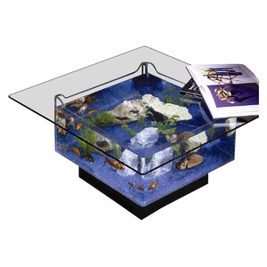 25 Gallon Alan Coffee Table Alanrium Tank