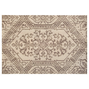 Brush Strokes Light Gray/Ivory Indoor/Outdoor Area Rug