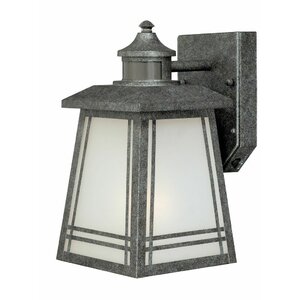 Otis 1-Light Outdoor Wall Lantern