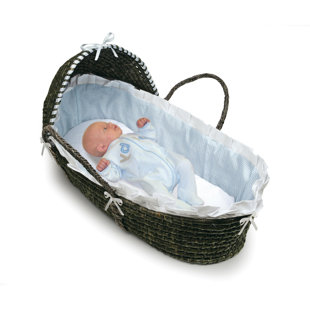 hooded moses basket