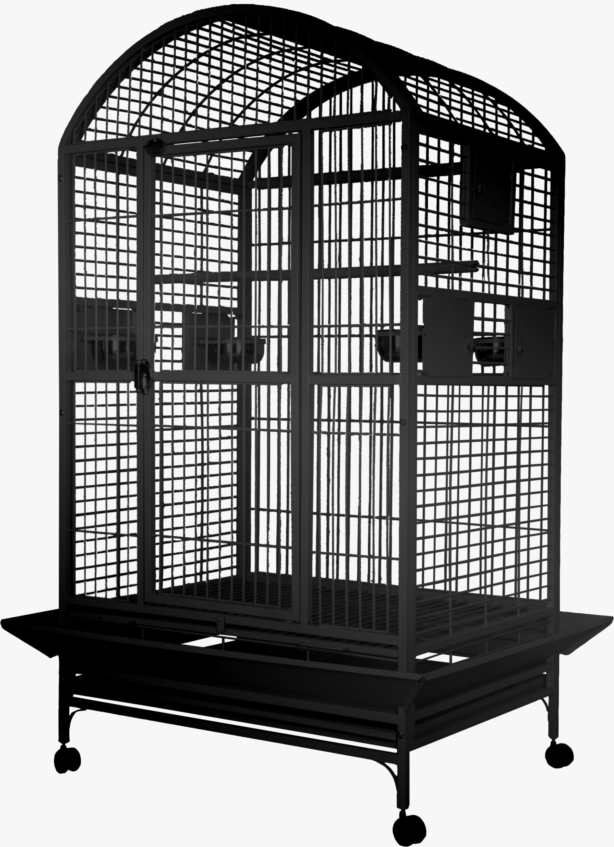 extra large parakeet cages