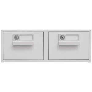 Aktenschrank mit 2 Schubladen von Bisley