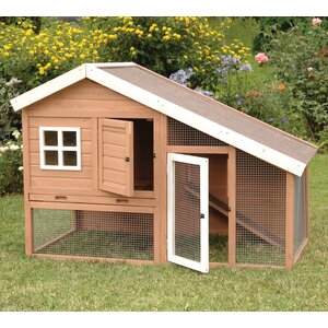 Cape Cod Chicken Coop