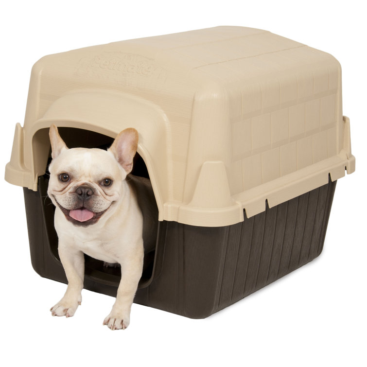 petbarn carrier