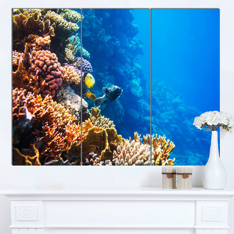 Designart Beautiful Coral Fish Of Red Sea 3 Piece Photographic Print On Wrapped Canvas Set