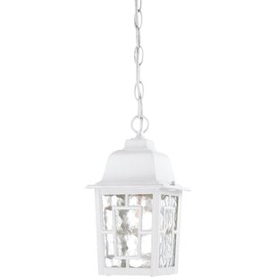 Payeur 1 Light Outdoor Hanging review