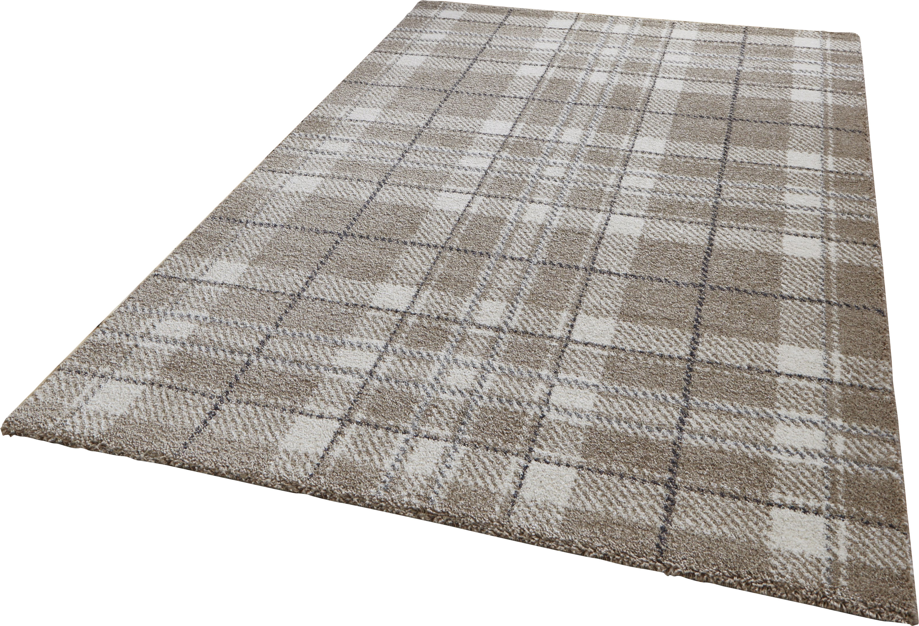 Union Rustic Teppich Kellie In Sandfarben Bewertungen Wayfair De