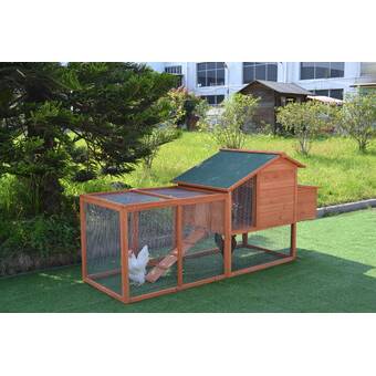 Ecoflex Newage Pet Hampton Chicken Coop Wayfairca