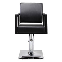 Hydraulic Salon Chairs Wayfair