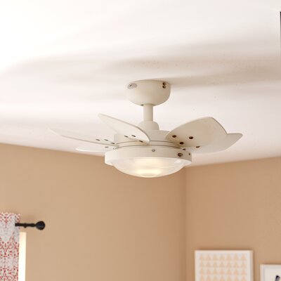 Ebern Designs 24 Inch Chenut 6 Blade Ceiling Fan Light Kit