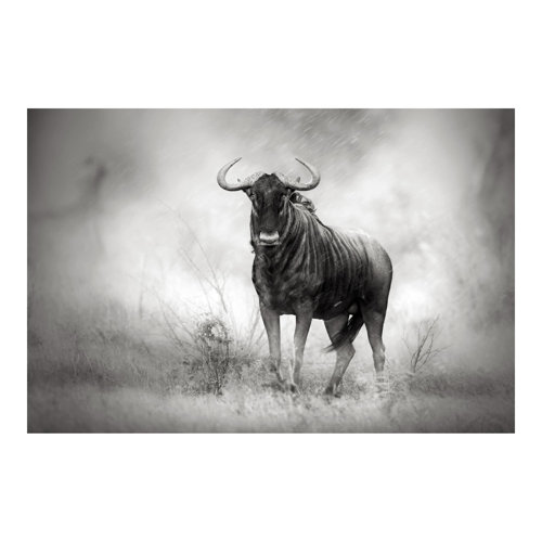 Staring Wildebeest 2.25m x 3.36m Embossed Matte Peel & Stick Wallpaper Roll East Urban Home