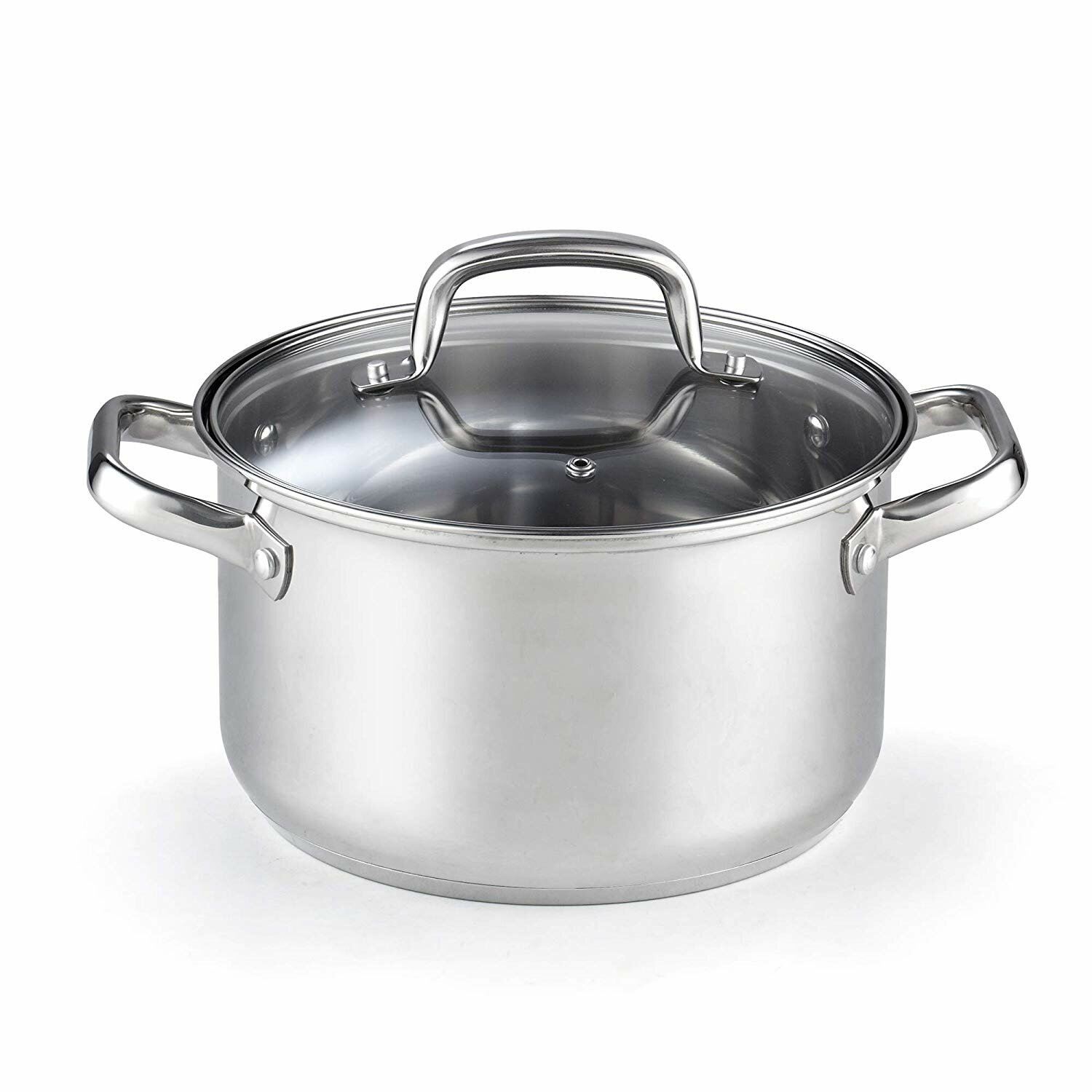 Cook N Home 5 Qt Stainless Steel Stock Pot With Lid Wayfair