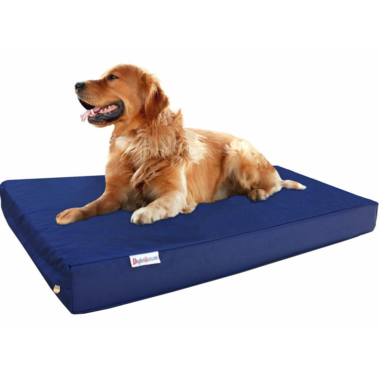 memory foam dog bed extra large