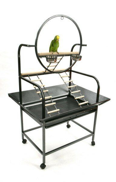 bird play stand