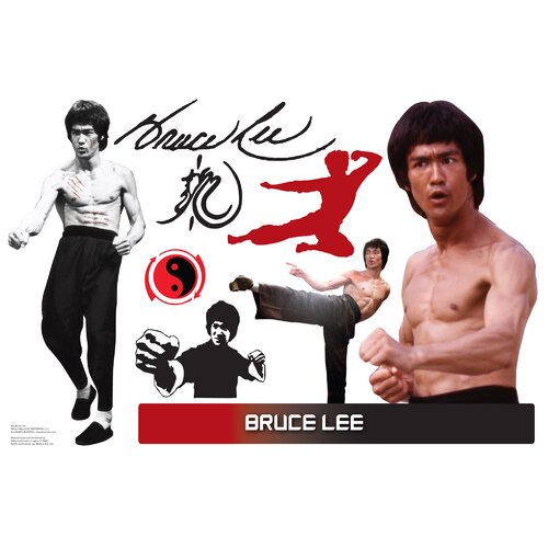 bruce lee kickboxer