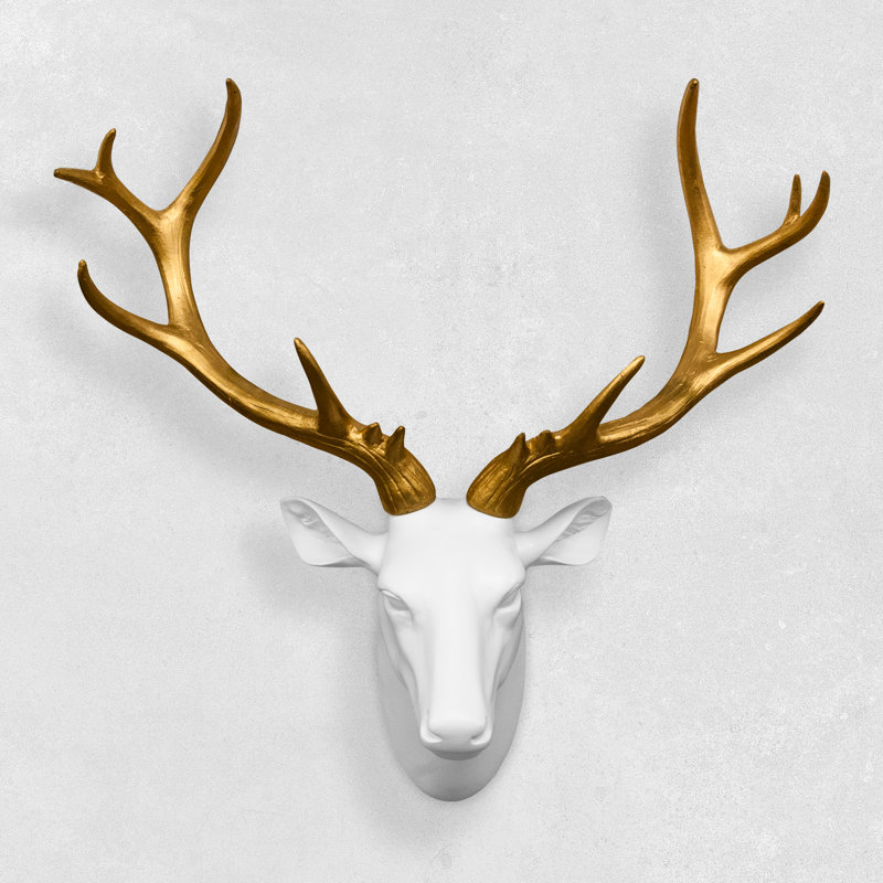 antlers