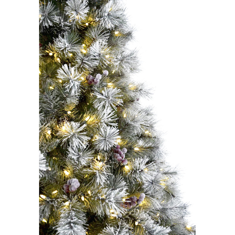 The Holiday Aisle Homestead Prelit Frosted 7 5 Green Pine