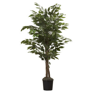 Artificial Plants You Ll Love Wayfair Quickview