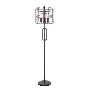 Cage Floor Lamp Wayfair Borup Cage Edison 63 Novelty Floor Lamp