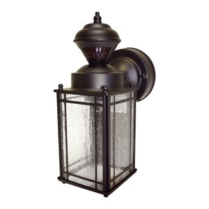 Fairford 1-Light Outdoor Wall Lantern