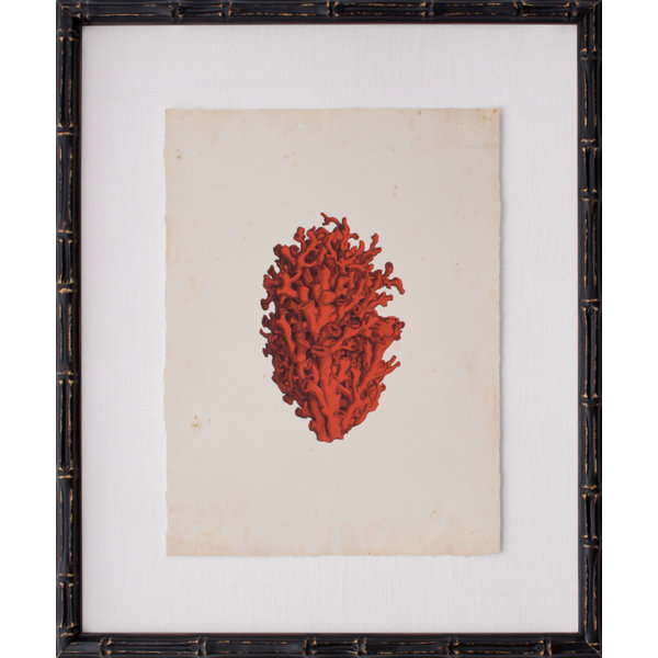 Mirror Image Home Mini Coral Iv Framed Graphic Art Wayfair