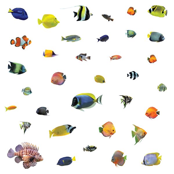 Free Shippig Marlin Fish Premium Fishing Vinyl Sticker/Decal Die-Cut 12" 