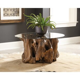 Tree Stump Glass Coffee Table Wayfair