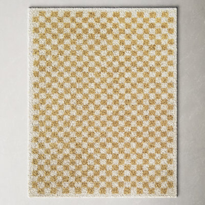 Walker Checkered Mustard/Cream Shag Area Rug