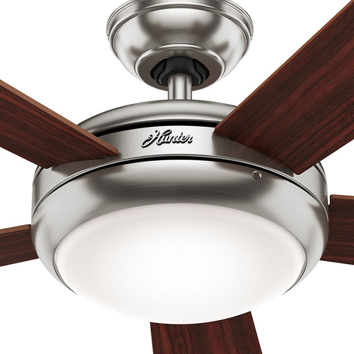 Hunter Fan 52 Palermo 5 Blade Ceiling Fan With Remote Light Kit