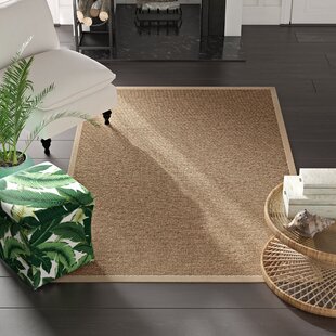 Modern Carpet Floor Mats for Living Dining Dorm Bedroom Door Bathroom Home Decor Coca Cola Pattern 5' x 7' Area Rug 