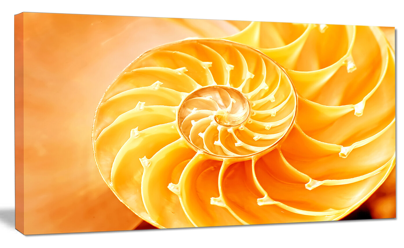 Designart Yellow Nautilus Shell Graphic Art On Wrapped Canvas Wayfair