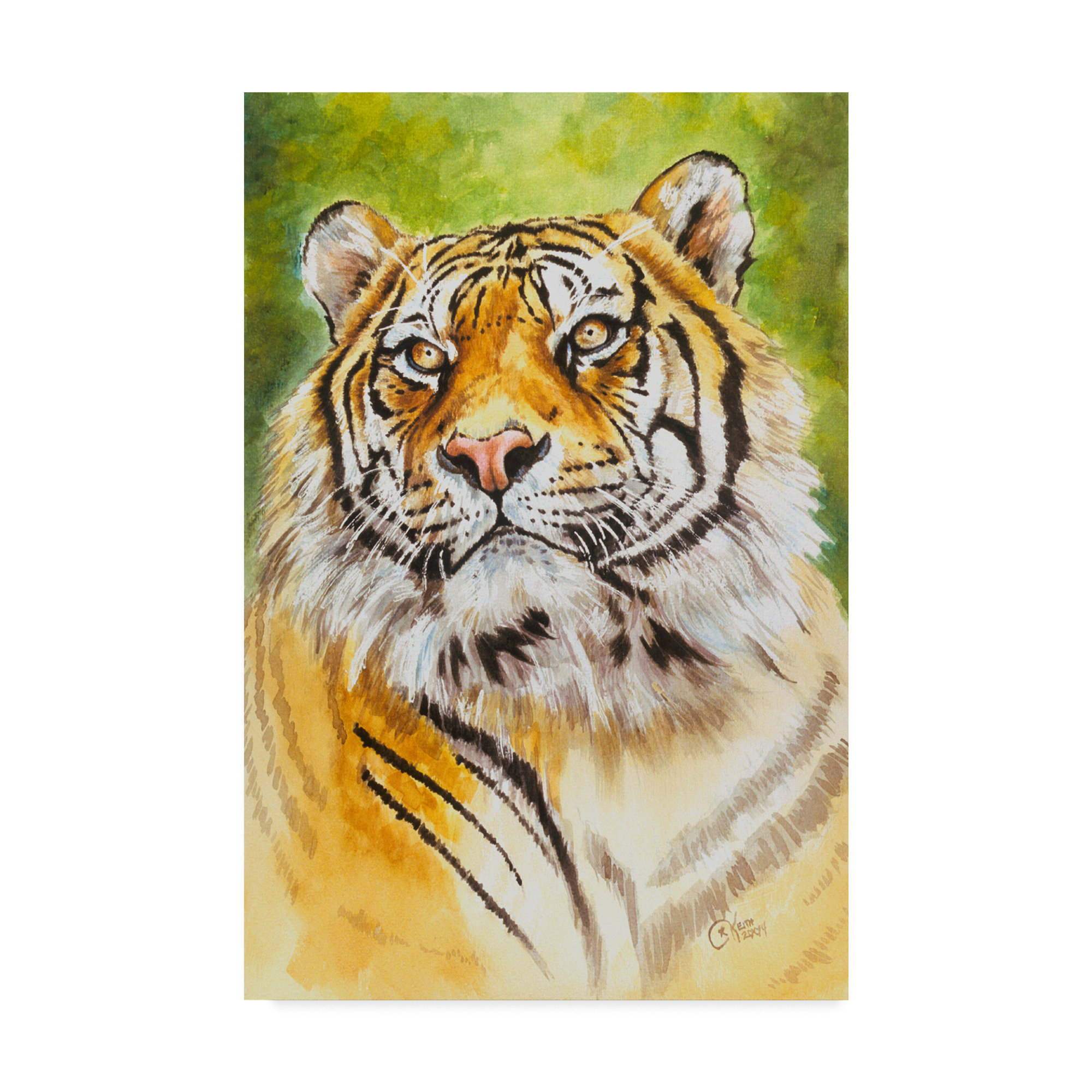 MAJESTIC TIGER PICTURE CANVAS PRINT WALL ART VARIETY OF SIZES FREE UK P/&P