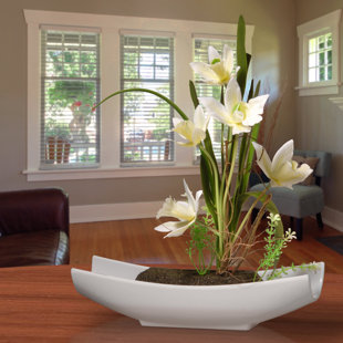 Flower Arrangements You Ll Love Wayfair Orchid Fl Arrangement In White Planter