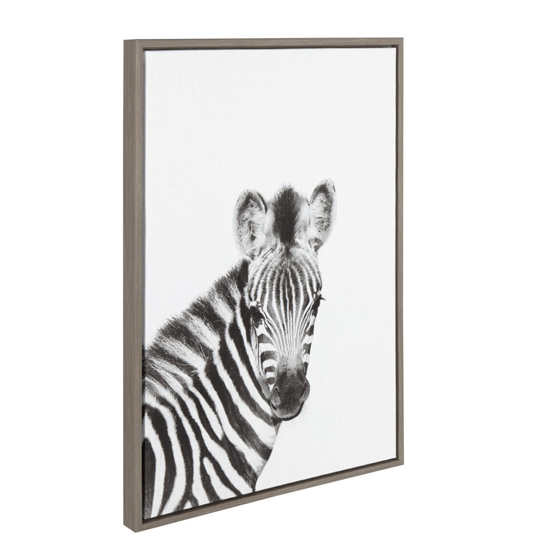 Baby Zebra Black And White Portrait Framed Art Allmodern