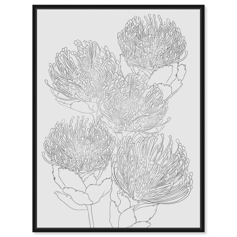 Winston Porter Floral And Botanical Orange Pincushion Peonies Drawing Print On Canvas Wayfair Find the perfect peony stock illustrations from getty images. wayfair