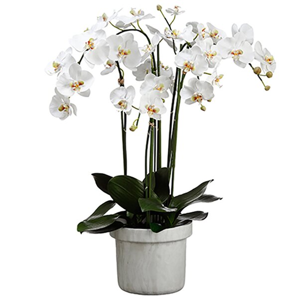 next artificial orchids