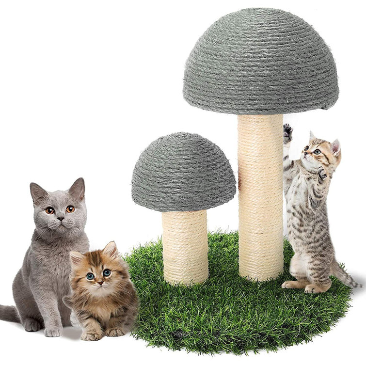 wayfair scratching post