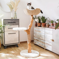 cat tree wayfair