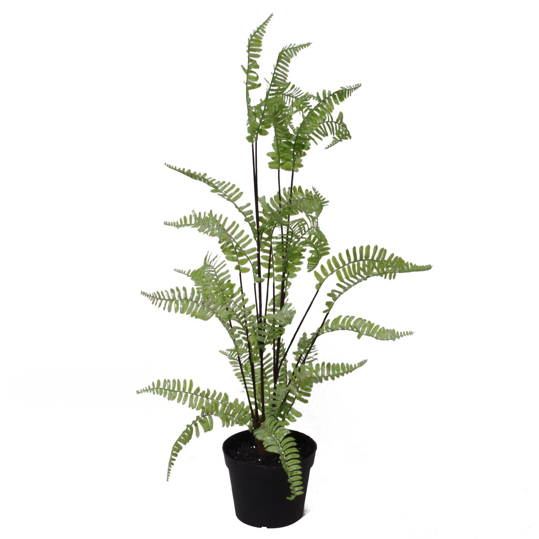 Artificial Silver Fern Foliage Plant - Green