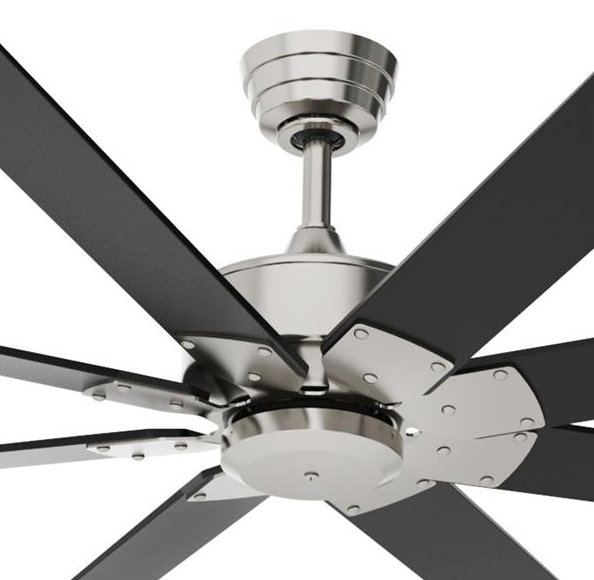 Fanimation Levon Custom 8 Blade Ceiling Fan With Remote Wayfair Fanimationlevon Custom 8 Blade Ceiling Fan With Remote