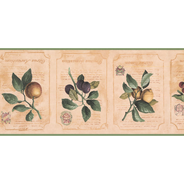 York Wallcoverings Fruits Berries 15 L X 9 W Wallpaper Border