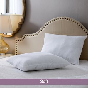 Wayfair Basics Soft Pillow (Set of 2)