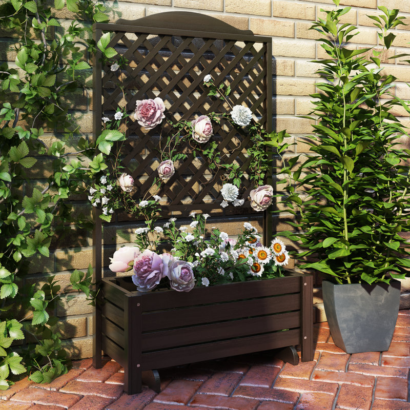 Freeport Park Romantica Wooden Planter Box with Trellis